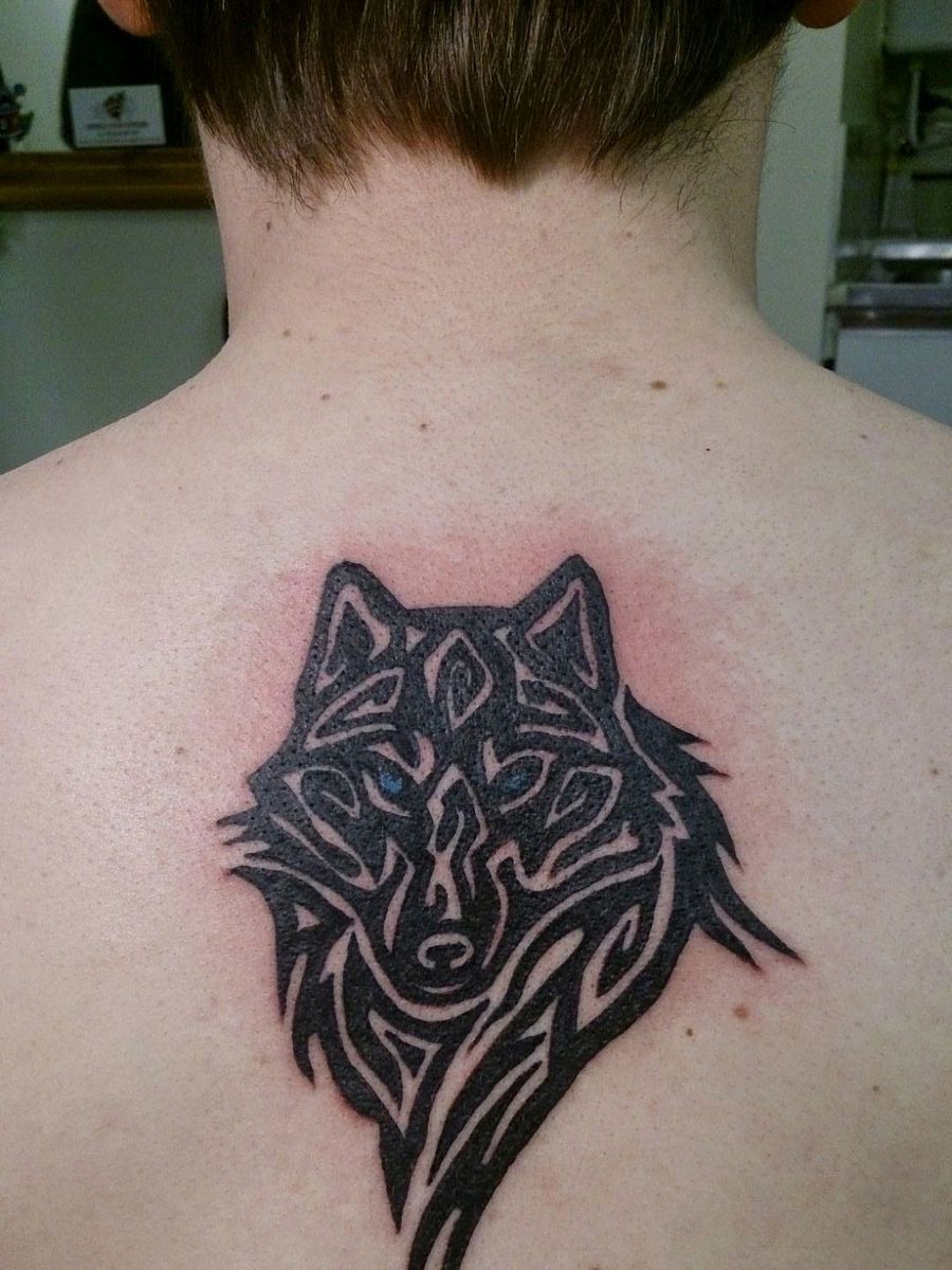 Fresh tribal wolf tattoo between the shoulder blades